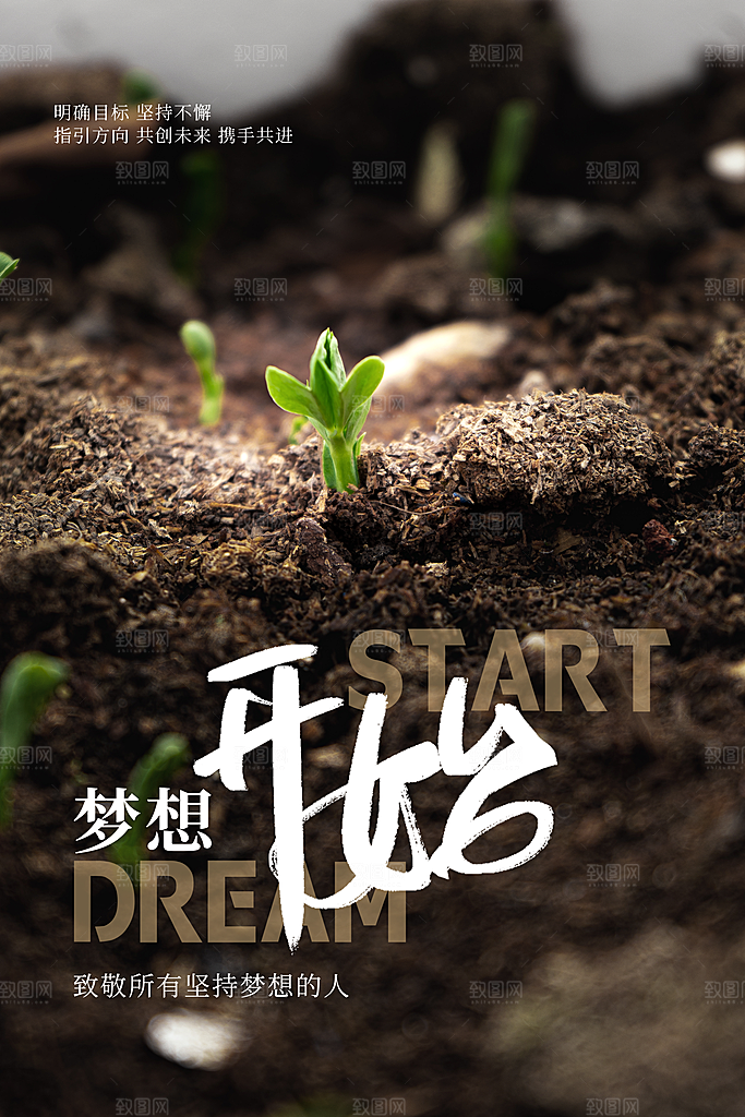 简约大气梦想励志拼搏海报