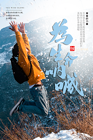 简约大气梦想励志拼搏海报