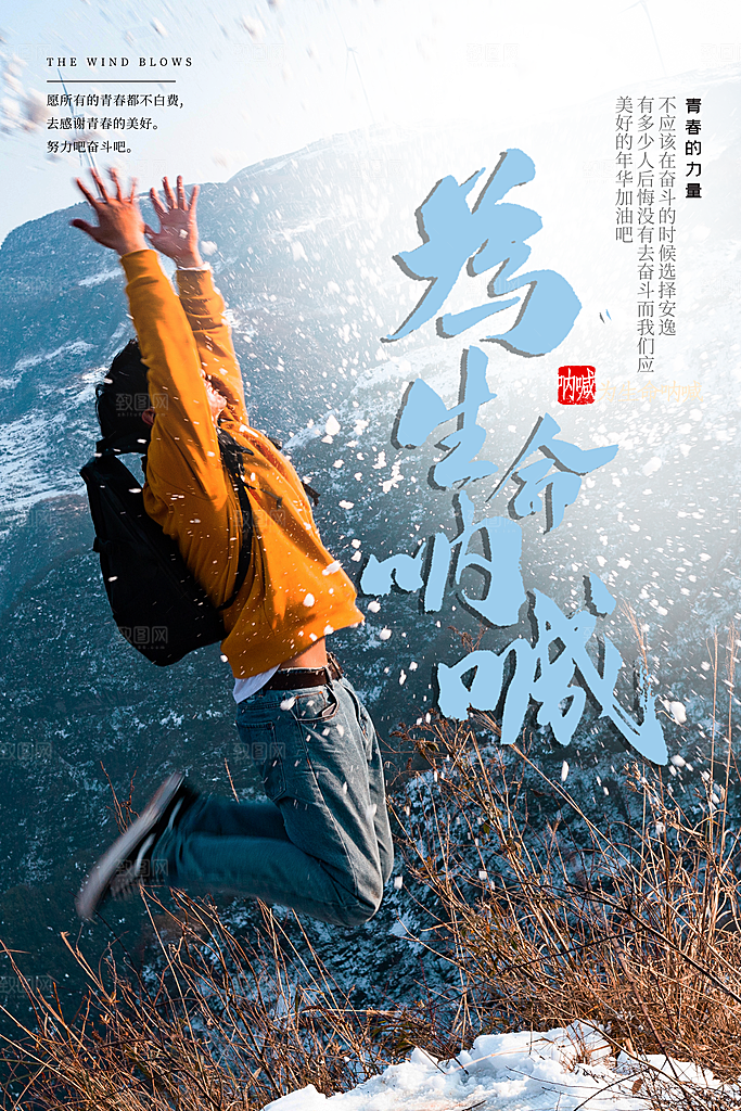 简约大气梦想励志拼搏海报