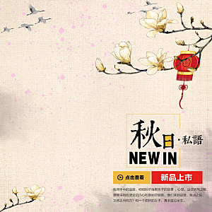 中国风店铺主图淘宝天猫电商海报