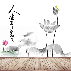 中国风店铺主图天猫淘宝电商海报