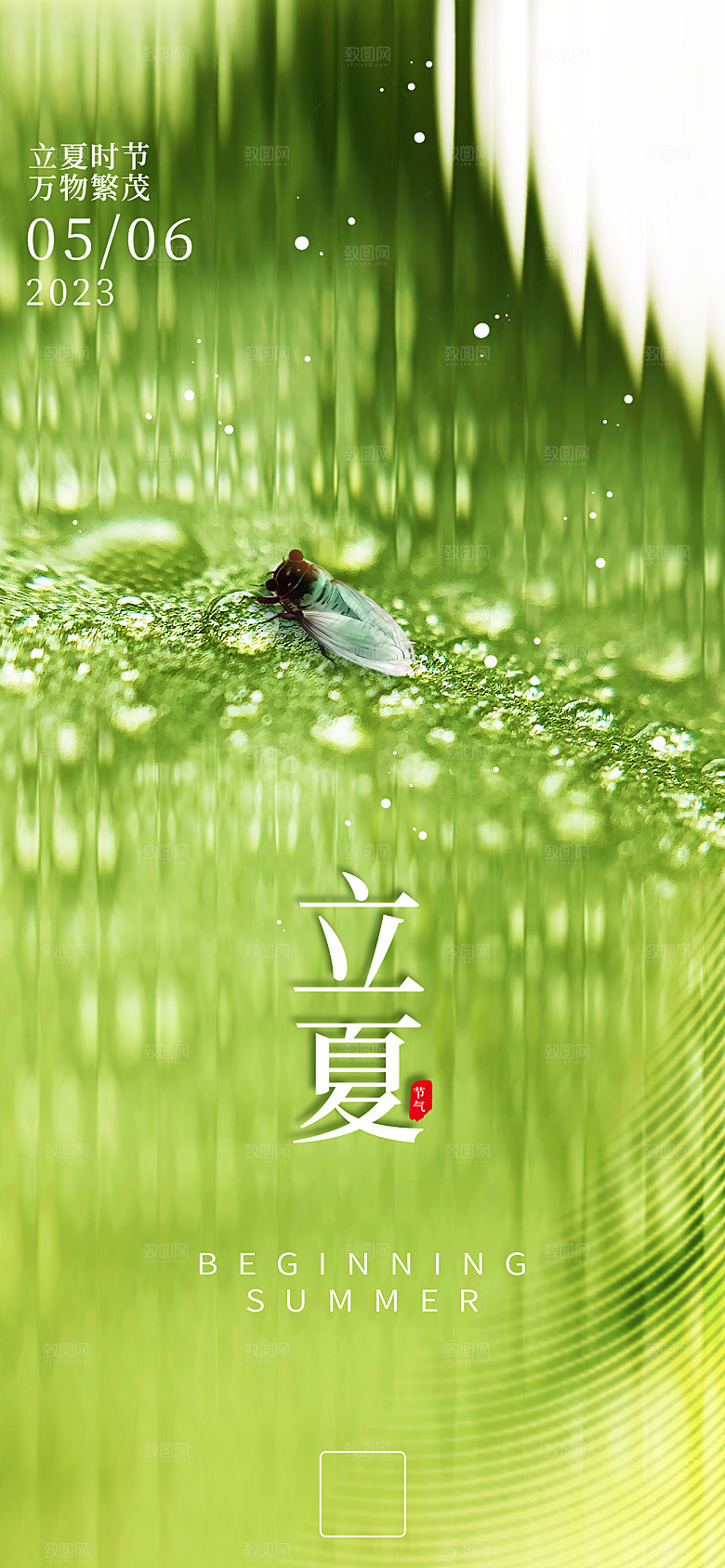 立夏节气简约大气海报