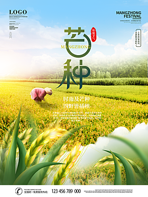 芒种节气简约大气海报