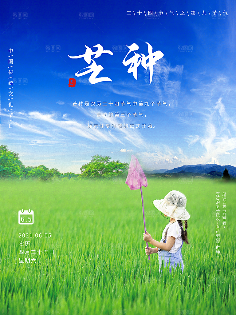 小满芒种节气简约大气海报