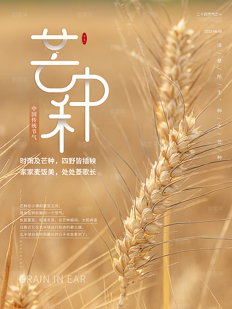 小满芒种节气简约大气海报