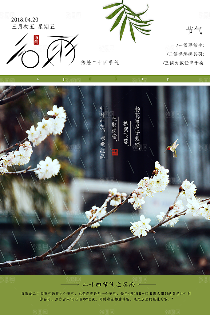 谷雨—中国24节气