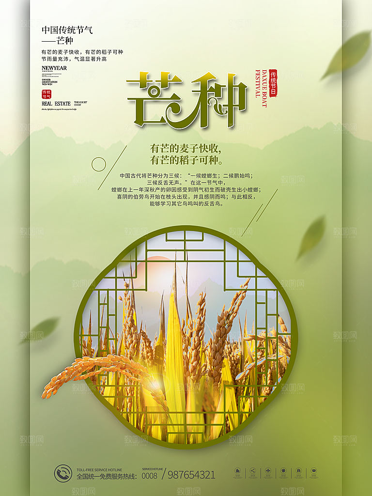芒种节气简约大气海报