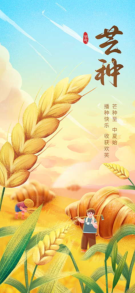 芒种—中国24节气