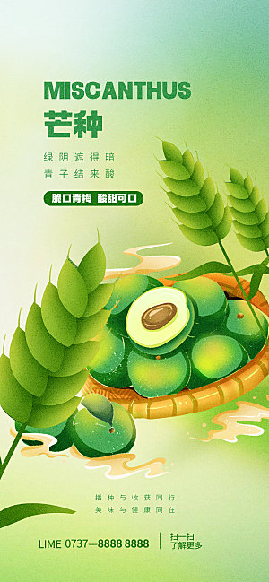 芒种—中国24节气