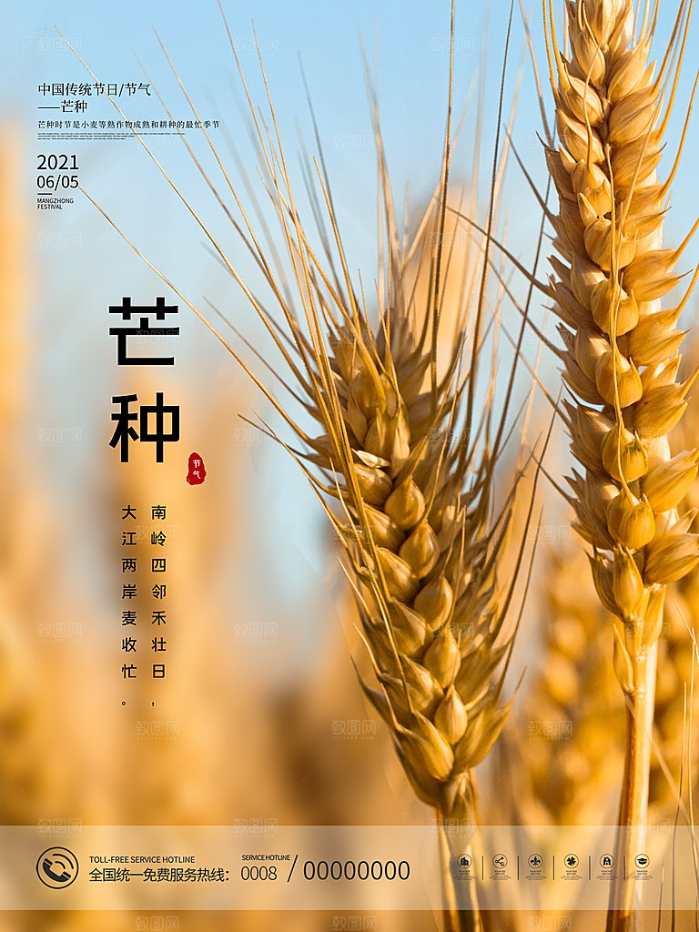 芒种节气简约大气海报