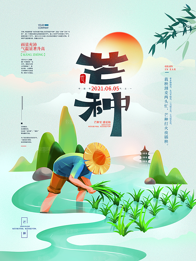 芒种节气简约大气海报