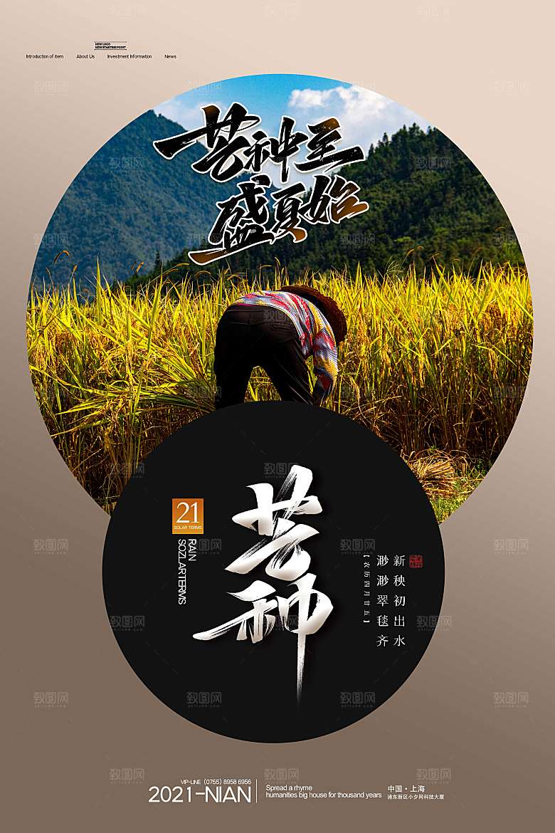 芒种节气简约大气海报
