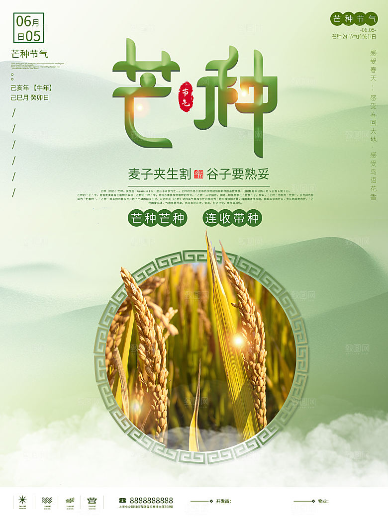 芒种节气简约大气海报
