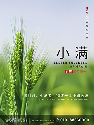芒种节气简约大气海报