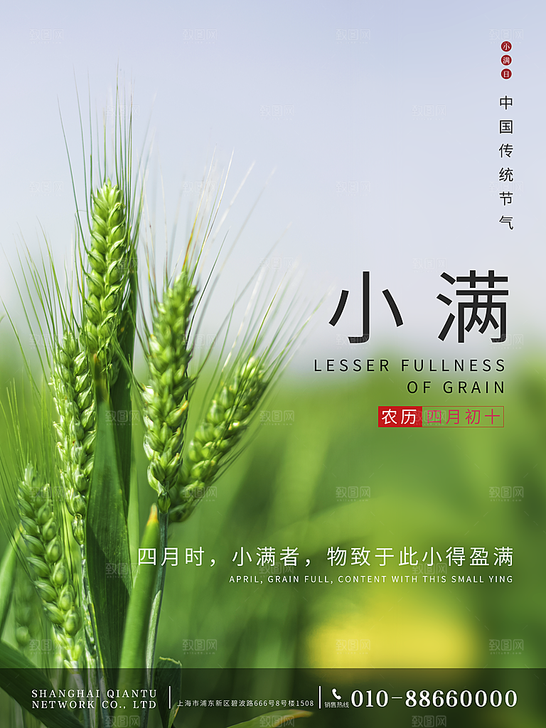 芒种节气简约大气海报
