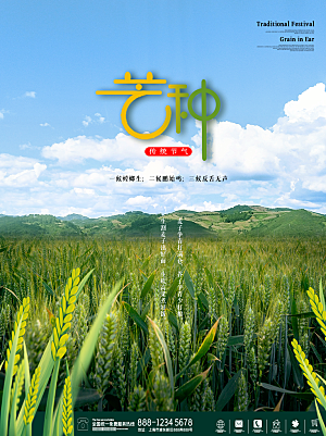 芒种节气简约大气海报