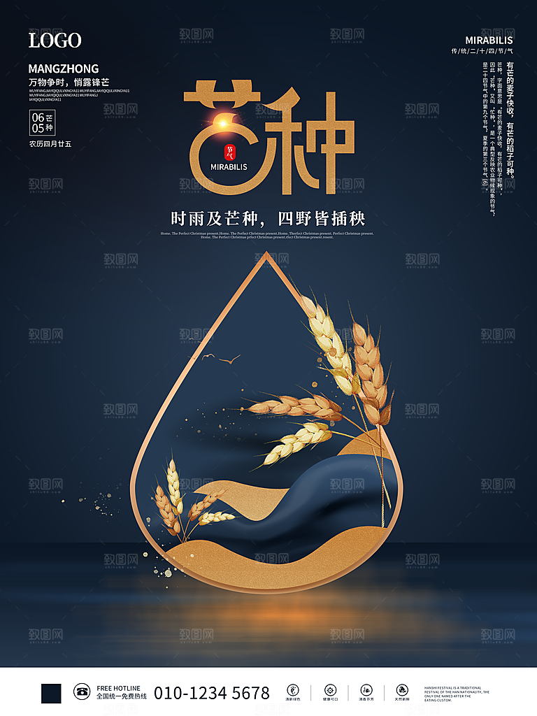 芒种节气简约大气海报