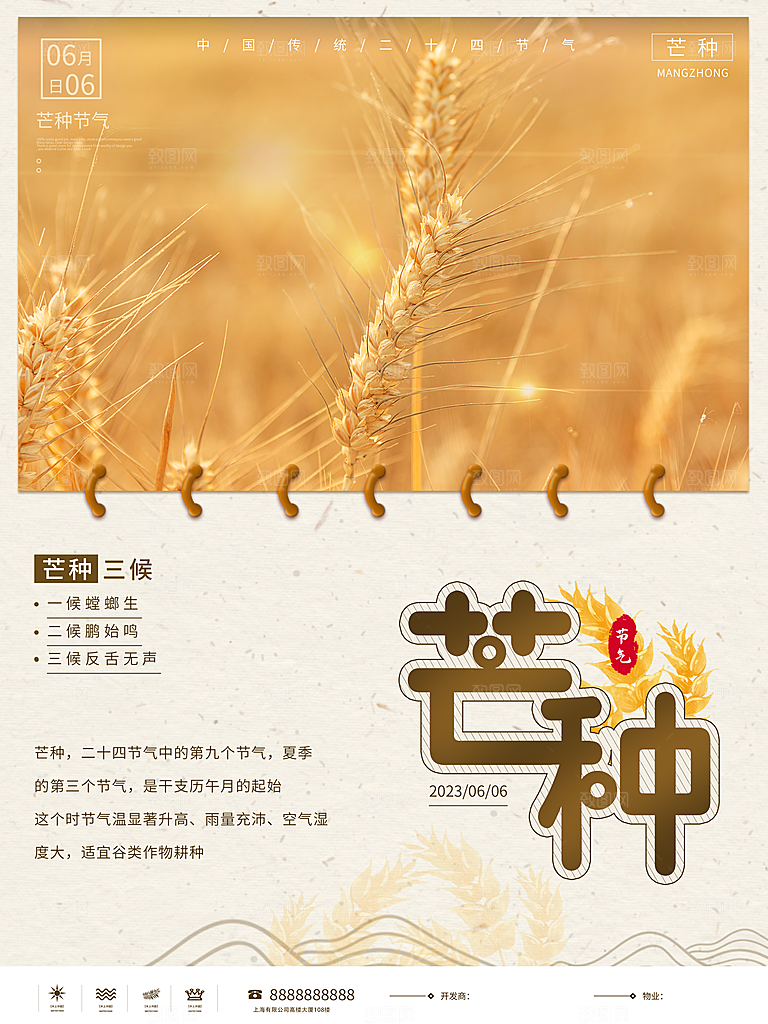 芒种节气简约大气海报