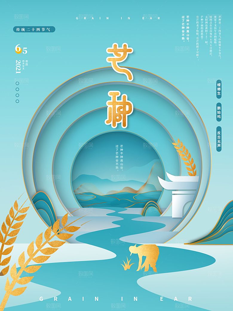 芒种节气简约大气海报