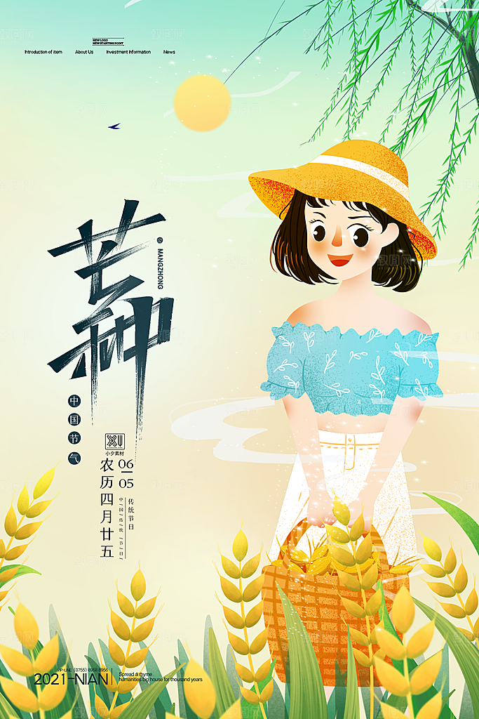 芒种节气简约大气海报