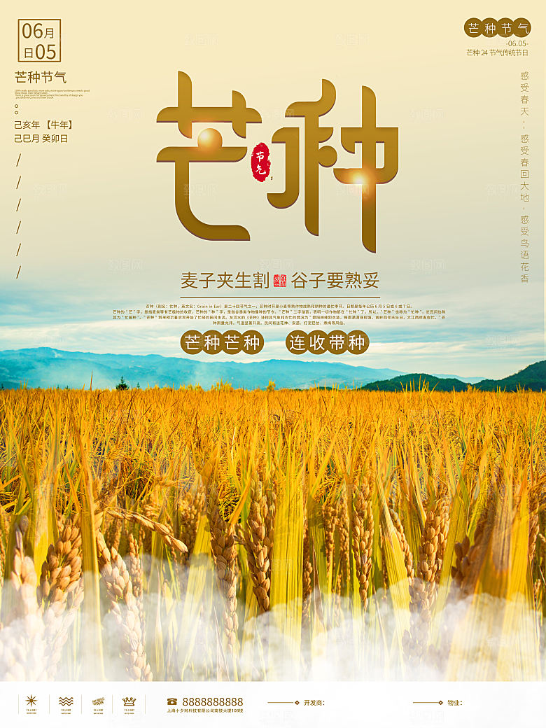 芒种节气简约大气海报