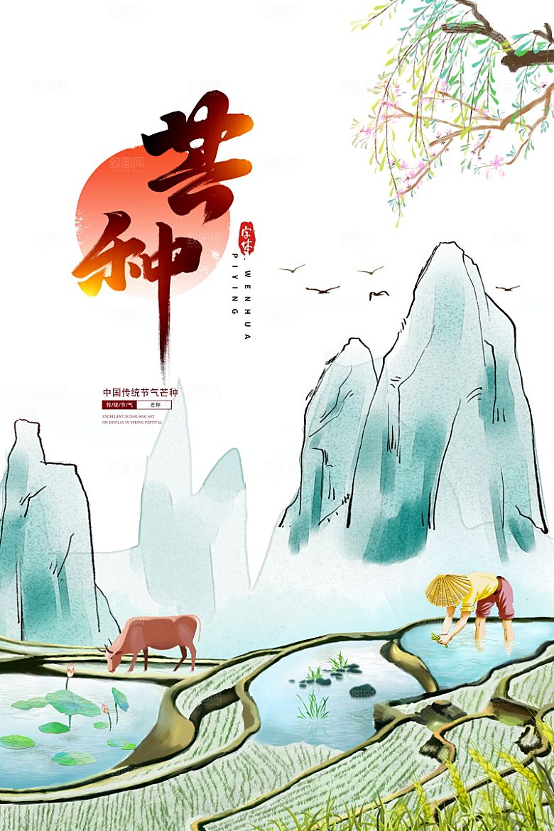 芒种节气简约大气海报