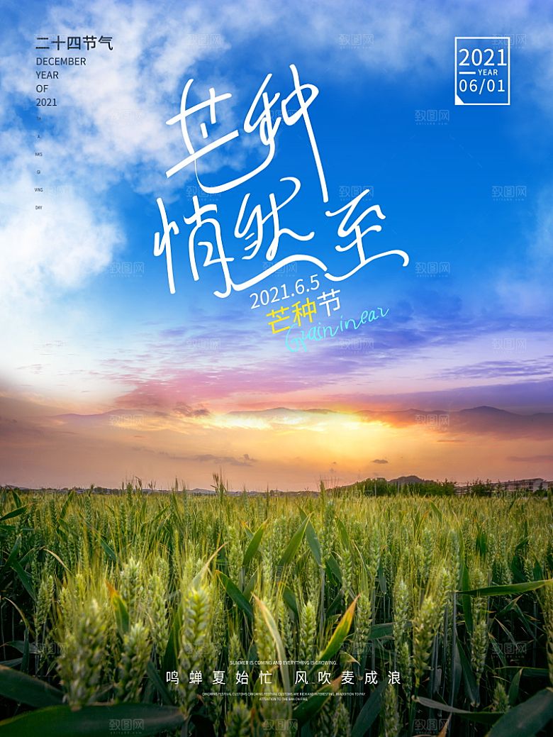 芒种节气简约大气海报