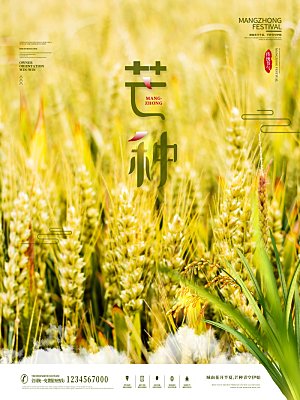 芒种节气简约大气海报