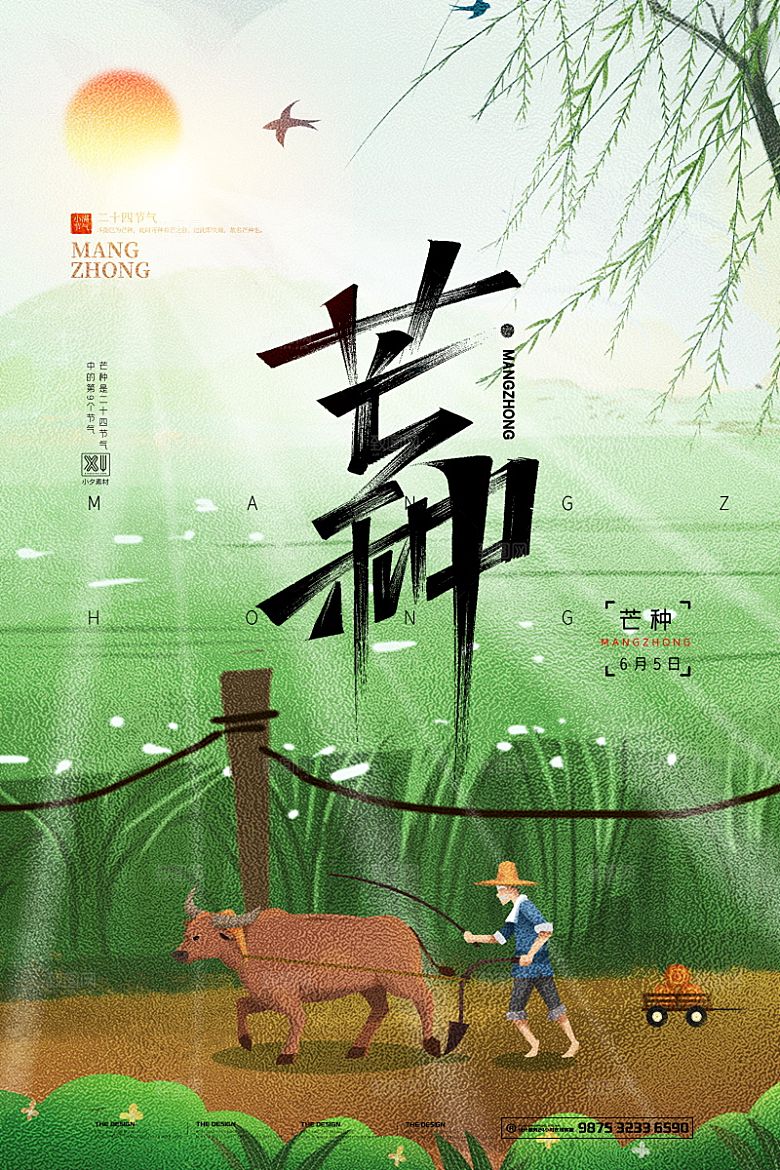 芒种节气简约大气海报