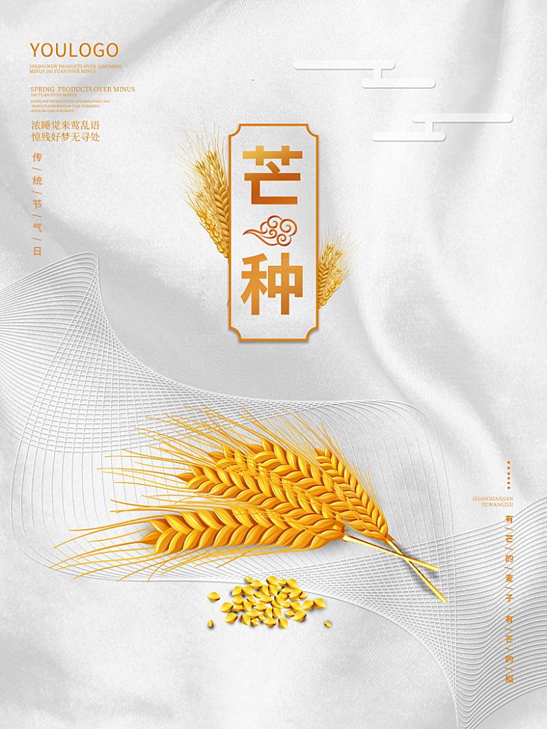 芒种节气简约大气海报