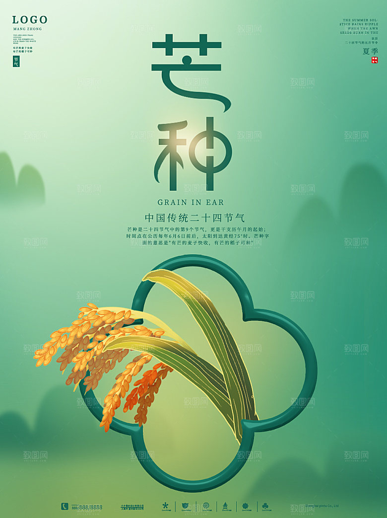 芒种节气简约大气海报