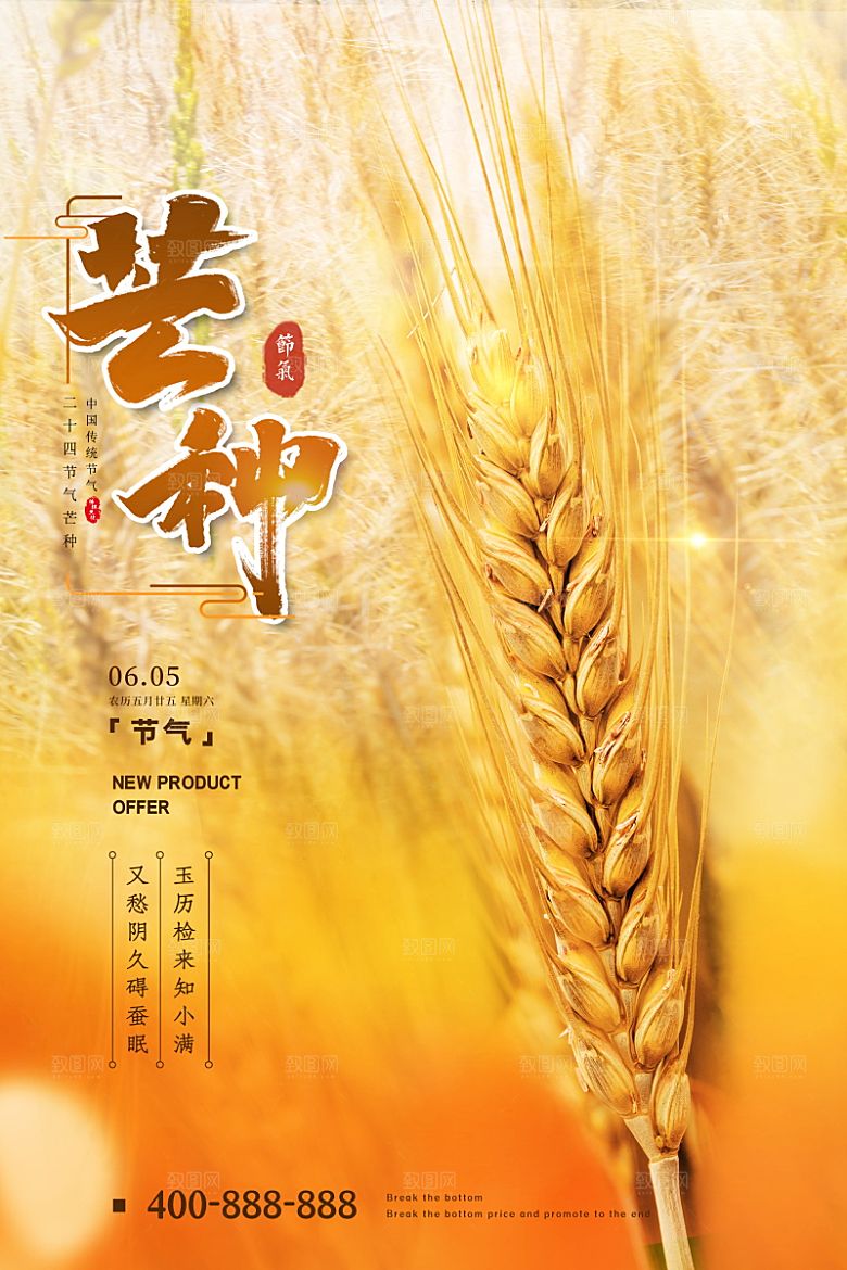 芒种节气简约大气海报