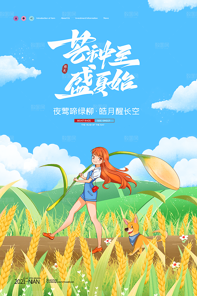 芒种节气简约大气海报