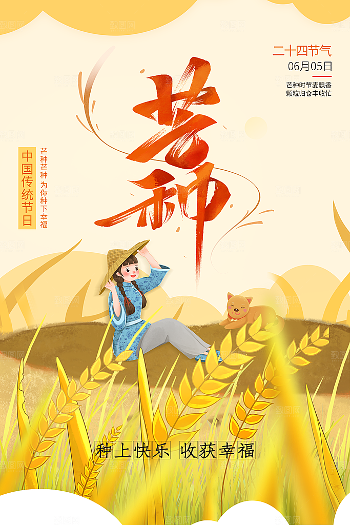 芒种节气简约大气海报