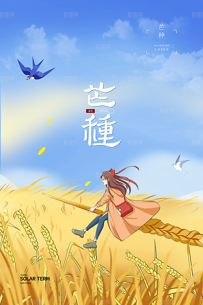 芒种节气简约大气海报