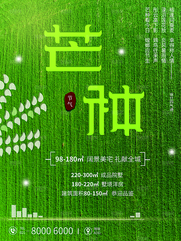 芒种节气简约大气海报