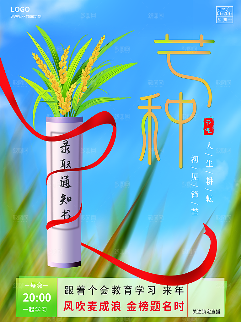 芒种节气简约大气海报