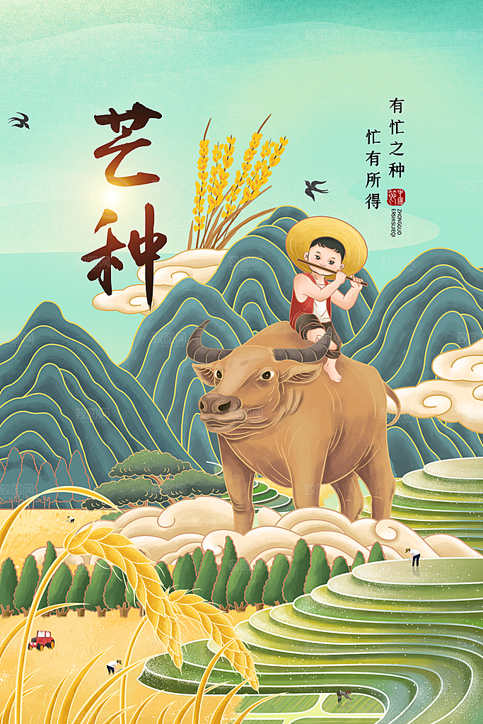芒种节气简约大气海报