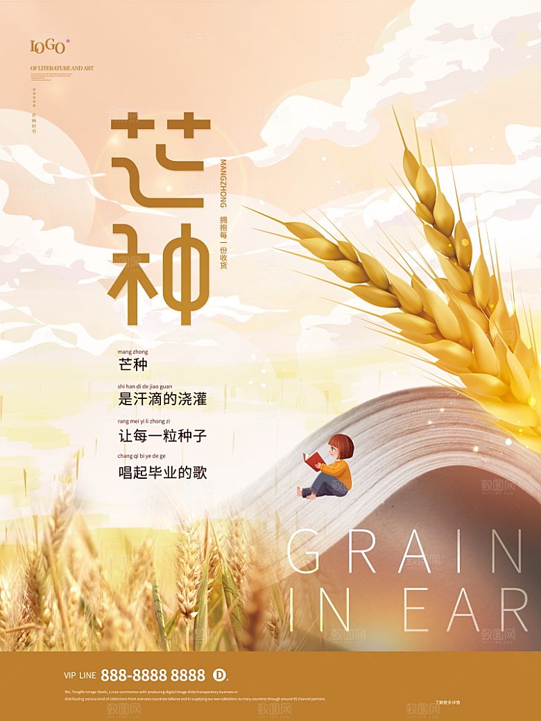 芒种节气简约大气海报