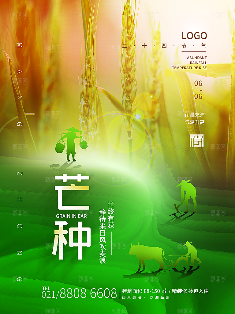 芒种节气简约大气海报
