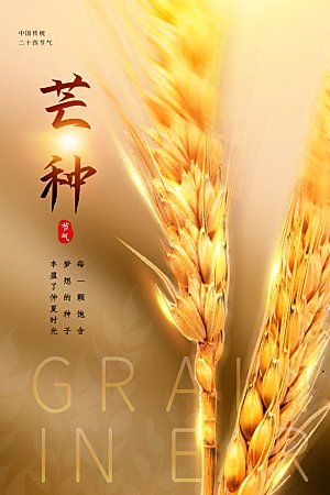芒种节气简约大气海报
