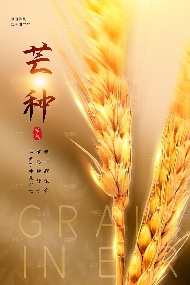 芒种节气简约大气海报