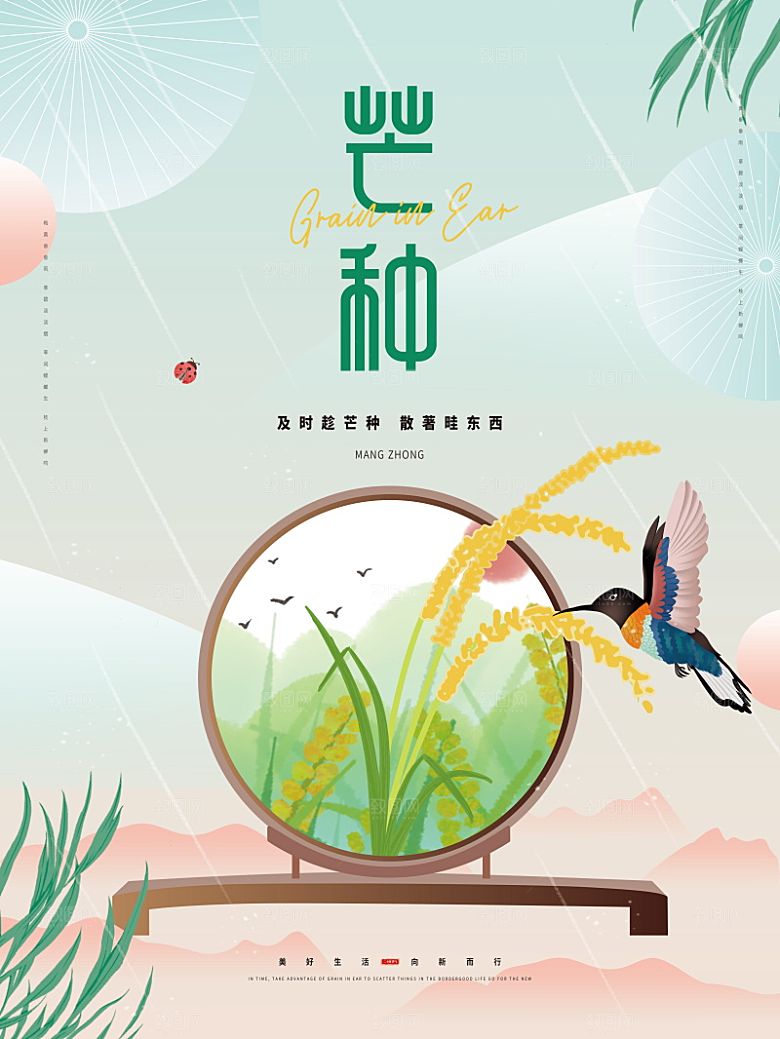 芒种节气简约大气海报