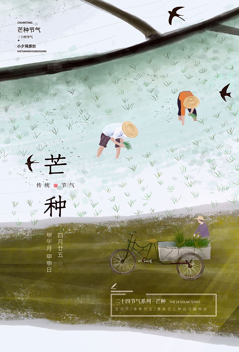 传统芒种插画模板