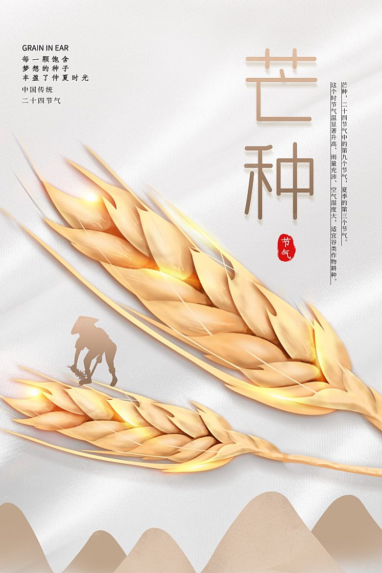 传统芒种插画模板