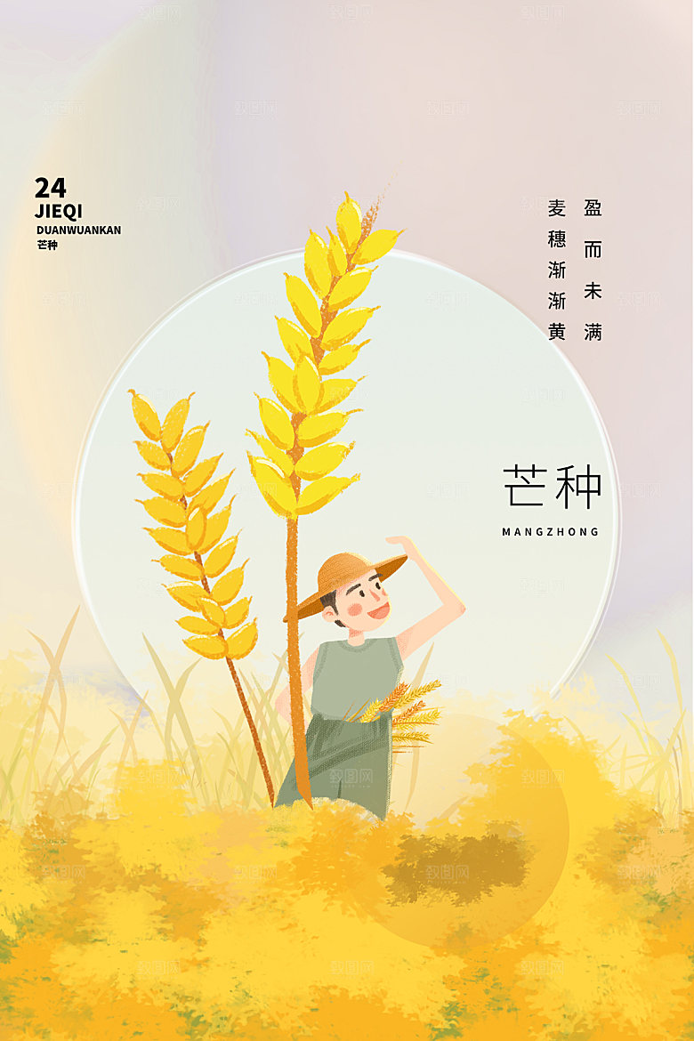 传统芒种插画模板