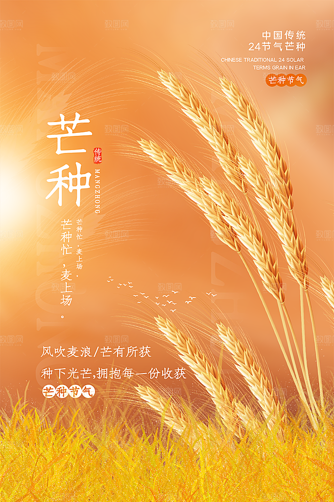 芒种节气简约大气海报