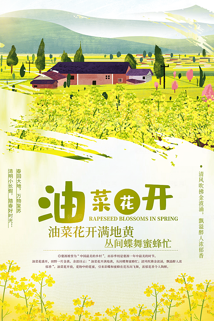 油菜花开宣传海报
