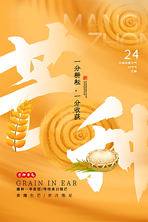 芒种节气简约大气海报