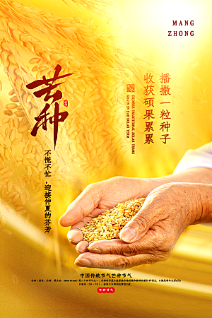 芒种节气简约大气海报